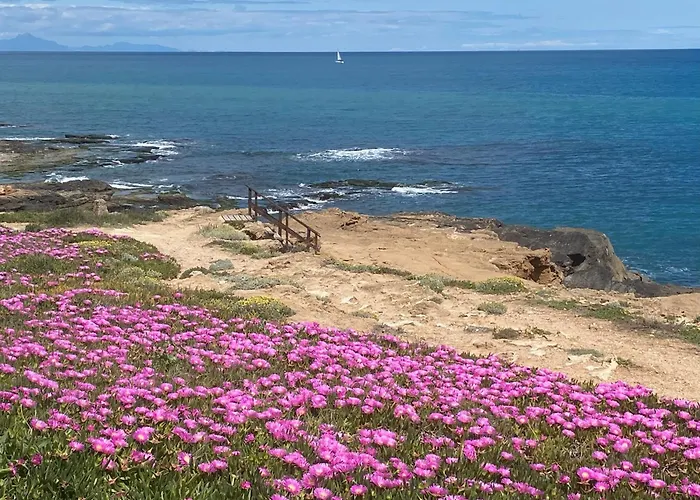 Apartment-house La Mata *